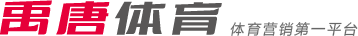 4v4小场